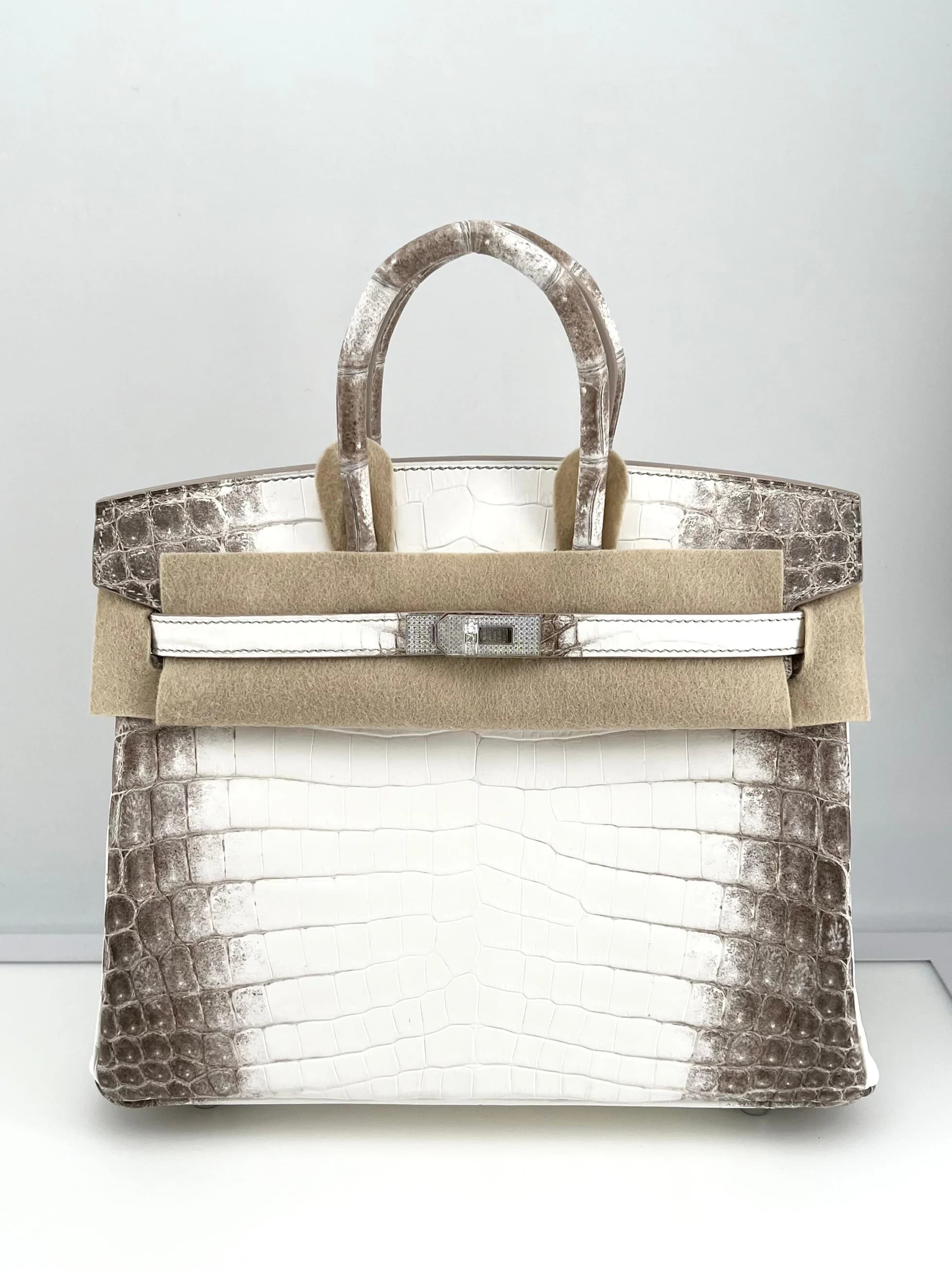 hermes-himalaya-birkin-25-niloticus-crocodile-diamond-encrusted-palladium-hardware-hermes-1183801760
